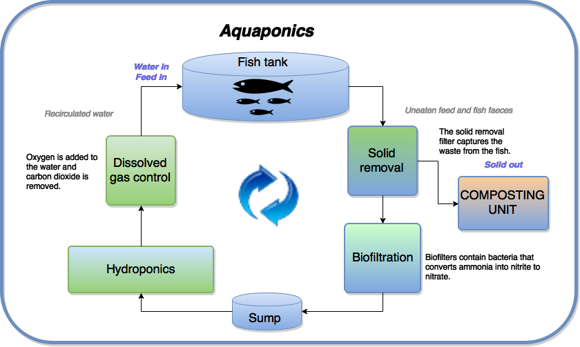 FIG_1_1_Aquaponics